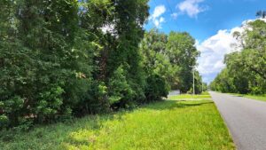 Property photo for land for sale in Suwannee County Florida
