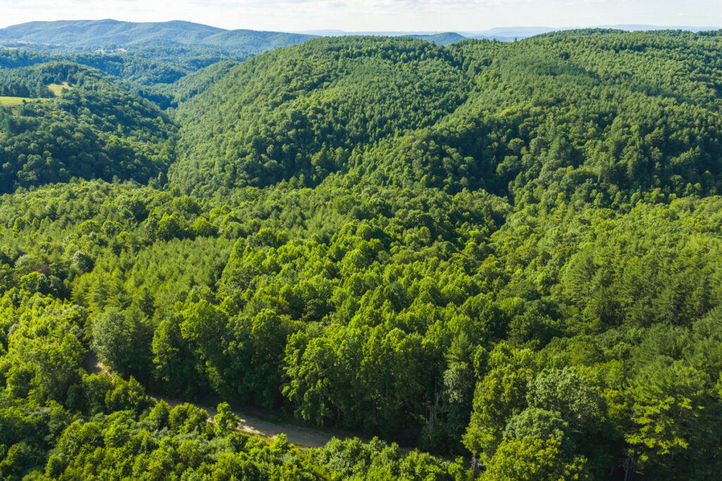 Property photo for land for sale in Floyd County Virginia
