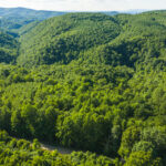 Property photo for land for sale in Floyd County Virginia