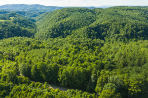 Property photo for land for sale in Floyd County Virginia