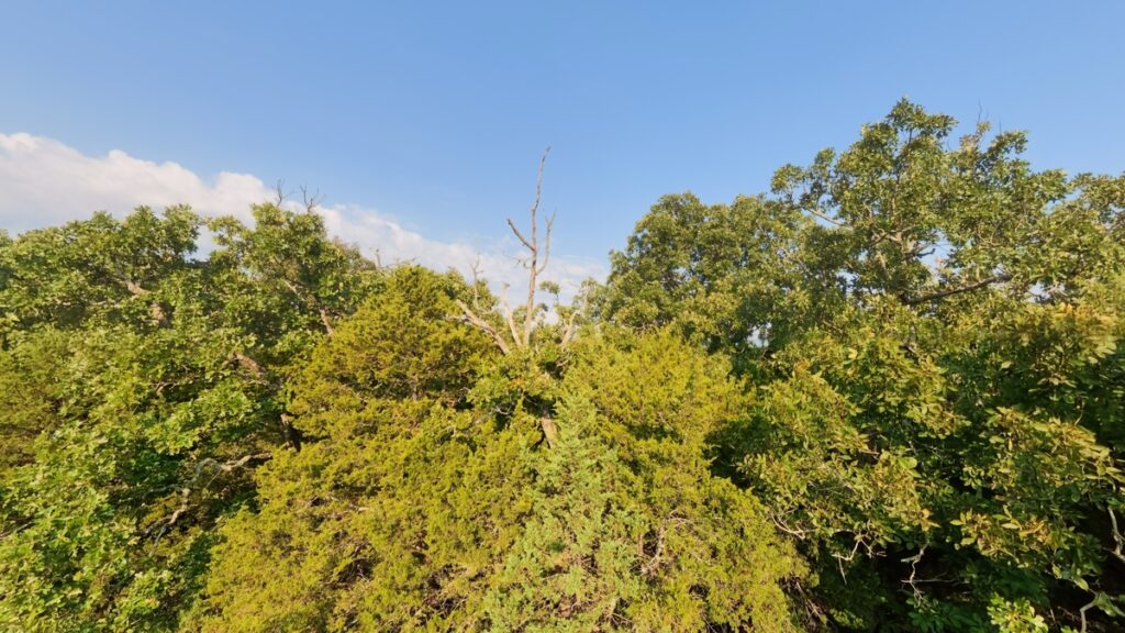 d64666df-1400-4f1a-9280-da674b952d79.jpg