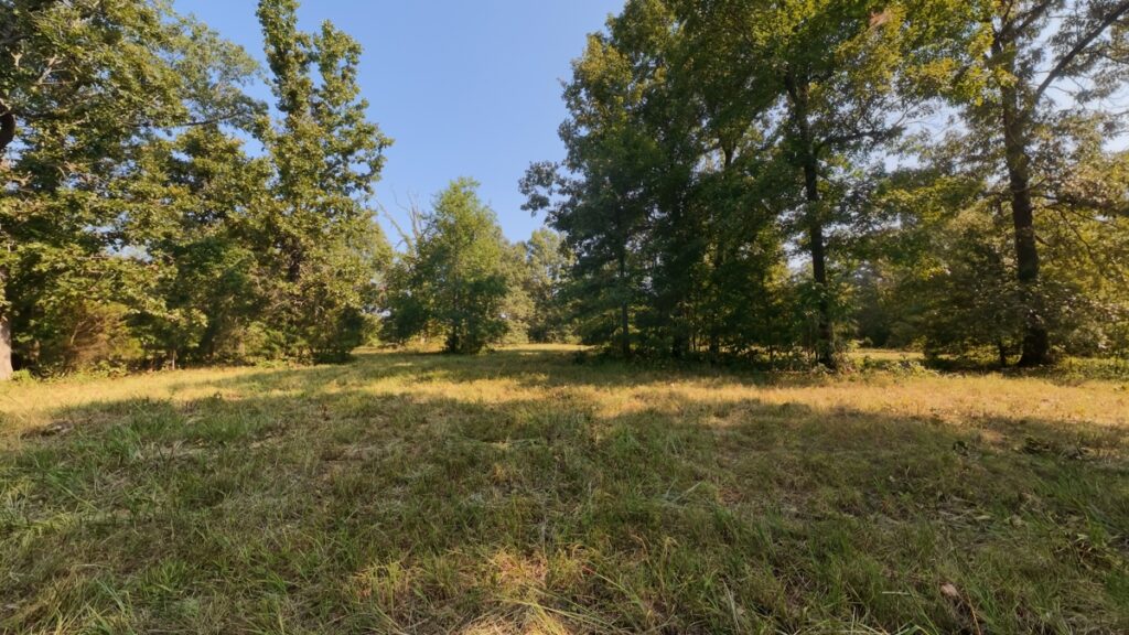 d6960ab1-1850-4caa-88ba-769868ea8ee7.jpg