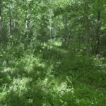 Property photo for land for sale in Knox County Indiana