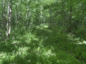 Property photo for land for sale in Knox County Indiana