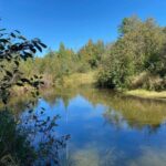 Property photo for land for sale in Montmorency County Michigan