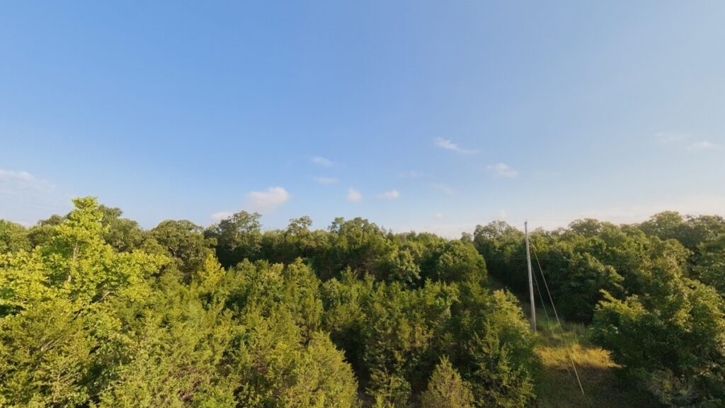 d8ae25ee-8f37-48ba-806e-982c5e5d6155.jpg