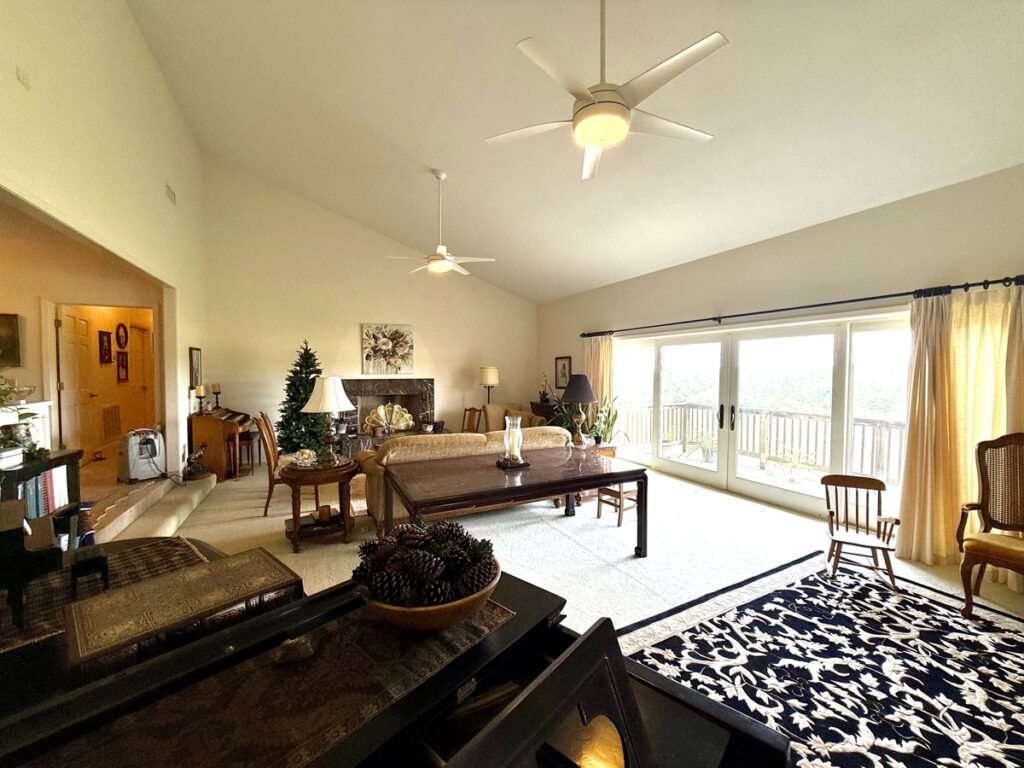 d8c021db-e63c-4b86-a68d-ae7263a186fa.jpg