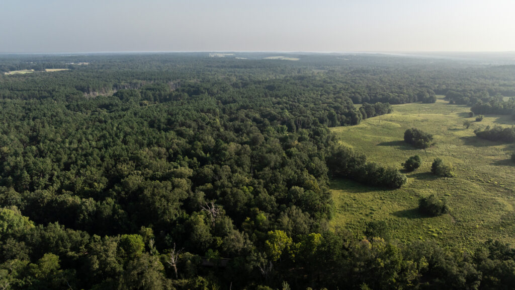 Property photo for land for sale in Rusk County Texas