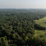 Property photo for land for sale in Rusk County Texas