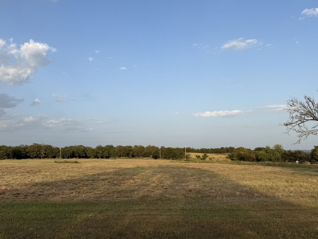 d9315c80-ee1f-4b5c-bcae-534dd3f231cf.jpg