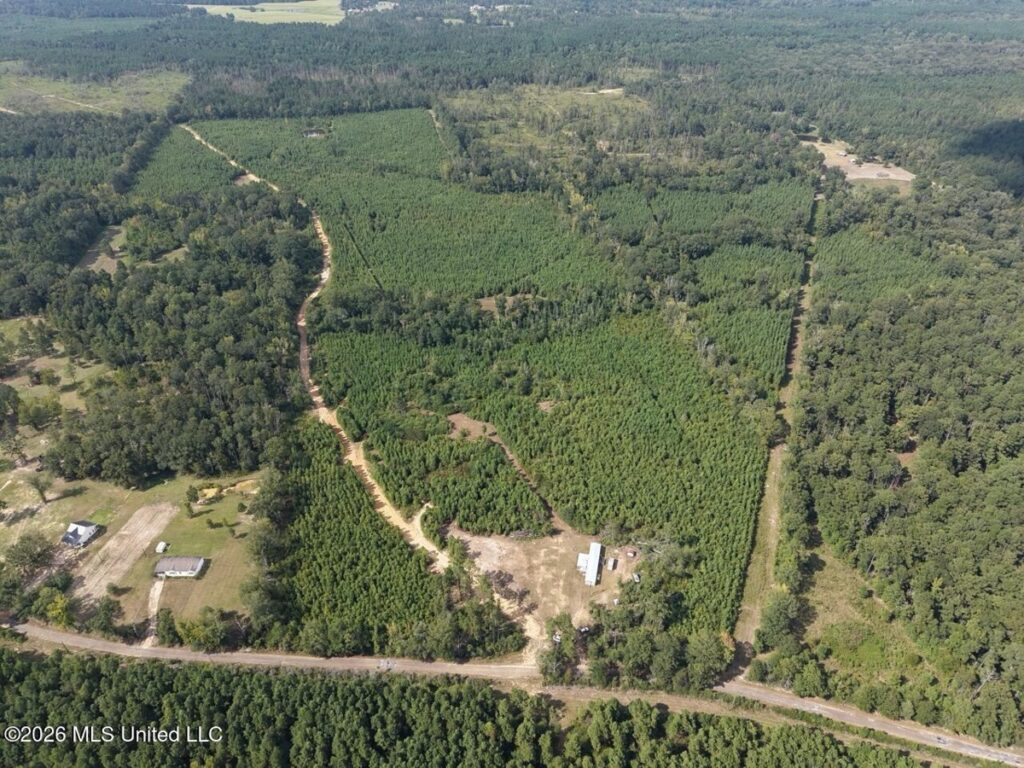 Property photo for land for sale in Amite County Mississippi