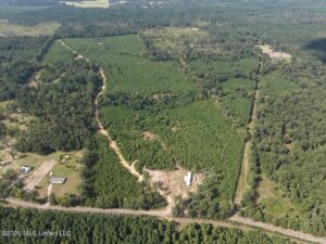Property photo for land for sale in Amite County Mississippi