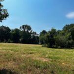 Property photo for land for sale in Red River County Texas