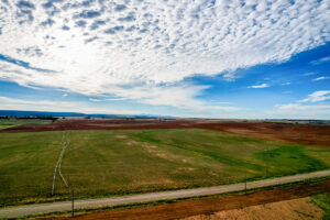 Property photo for land for sale in Montezuma County Colorado