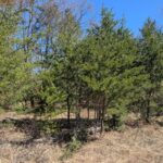 Property photo for land for sale in Montmorency County Michigan