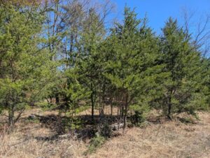 Property photo for land for sale in Montmorency County Michigan