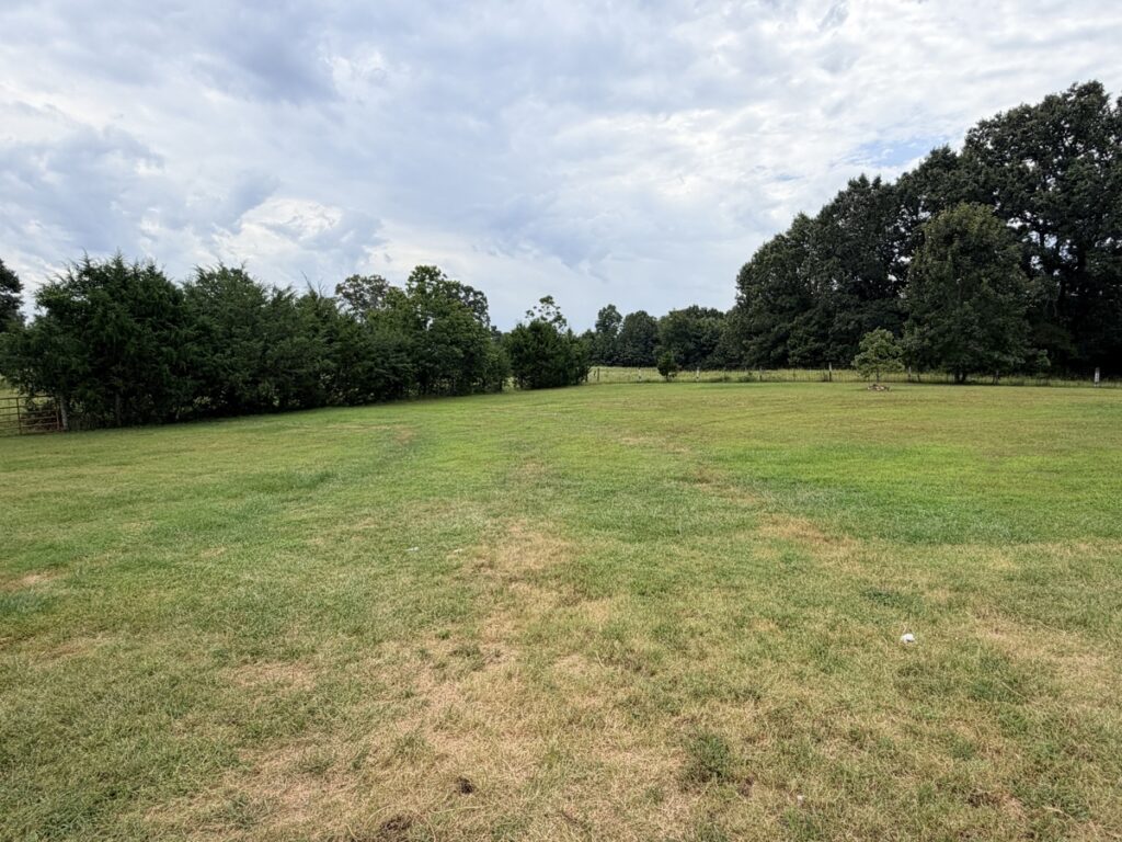 dcb65c74-9d6d-40cd-aedb-be56eda65f51.jpg