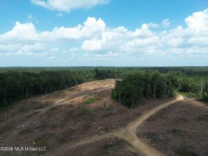 Property photo for land for sale in Lincoln County Mississippi