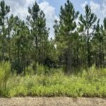 Property photo for land for sale in Hamilton County Florida