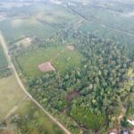 Property photo for land for sale in Wilkinson County Mississippi