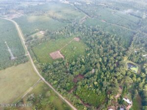Property photo for land for sale in Wilkinson County Mississippi