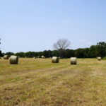 Property photo for land for sale in Okfuskee County Oklahoma