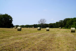 Property photo for land for sale in Okfuskee County Oklahoma