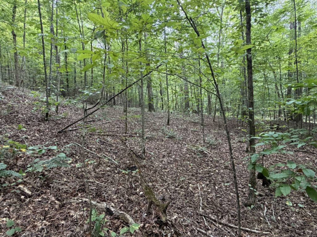 Property photo for land for sale in Perry County Tennessee