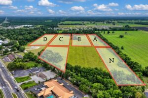 Property photo for land for sale in Levy County Florida