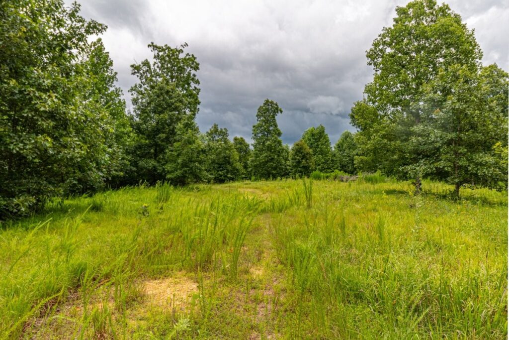 Property photo for land for sale in Lewis County Tennessee