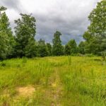 Property photo for land for sale in Lewis County Tennessee