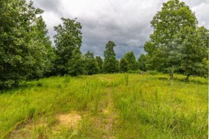 Property photo for land for sale in Lewis County Tennessee