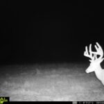 Property photo for land for sale in Coffey County Kansas