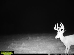 Property photo for land for sale in Coffey County Kansas