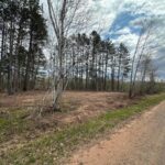 Property photo for land for sale in Pine County Minnesota