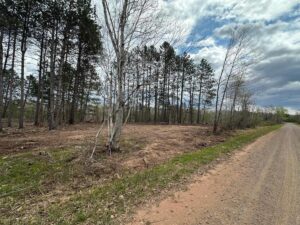 Property photo for land for sale in Pine County Minnesota
