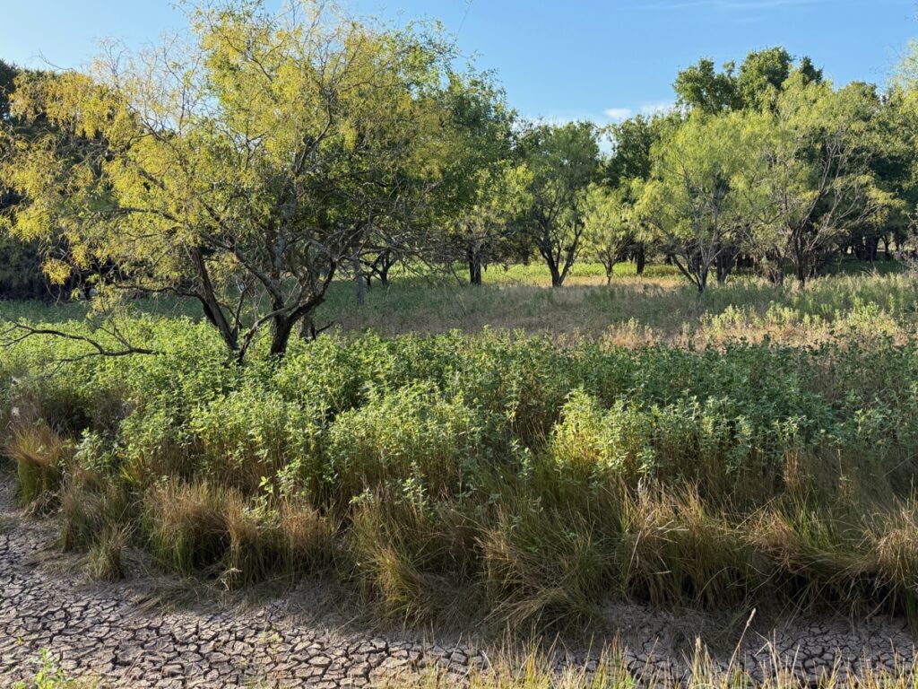 Property photo for land for sale in Brown County Texas