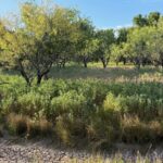 Property photo for land for sale in Brown County Texas