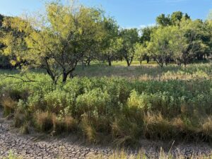 Property photo for land for sale in Brown County Texas