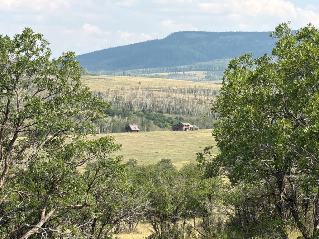 Property photo for land for sale in San Miguel County Colorado