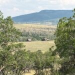 Property photo for land for sale in San Miguel County Colorado