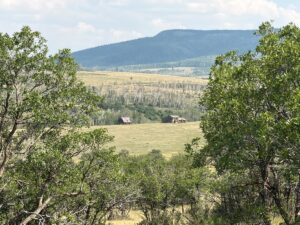 Property photo for land for sale in San Miguel County Colorado