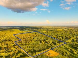 Property photo for land for sale in Vernon County Missouri