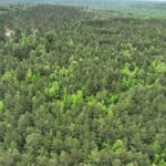 Property photo for land for sale in Cass County Texas