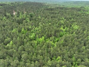 Property photo for land for sale in Cass County Texas