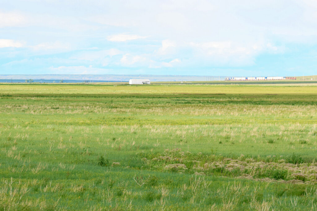 f016c385-a994-47d3-be42-6a277acdb54a.jpg
