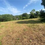 Property photo for land for sale in Madison County Arkansas