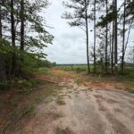 Property photo for land for sale in Brunswick County Virginia