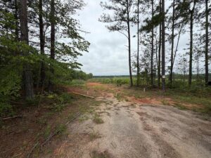 Property photo for land for sale in Brunswick County Virginia