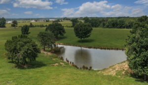 Property photo for land for sale in Bowie County Texas